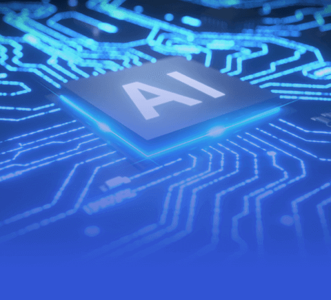 开云备用网址|排球赛事v6.6.4